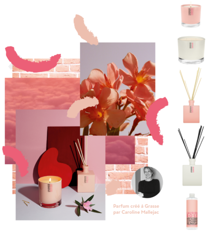 Compagnie de provence Laurier rose